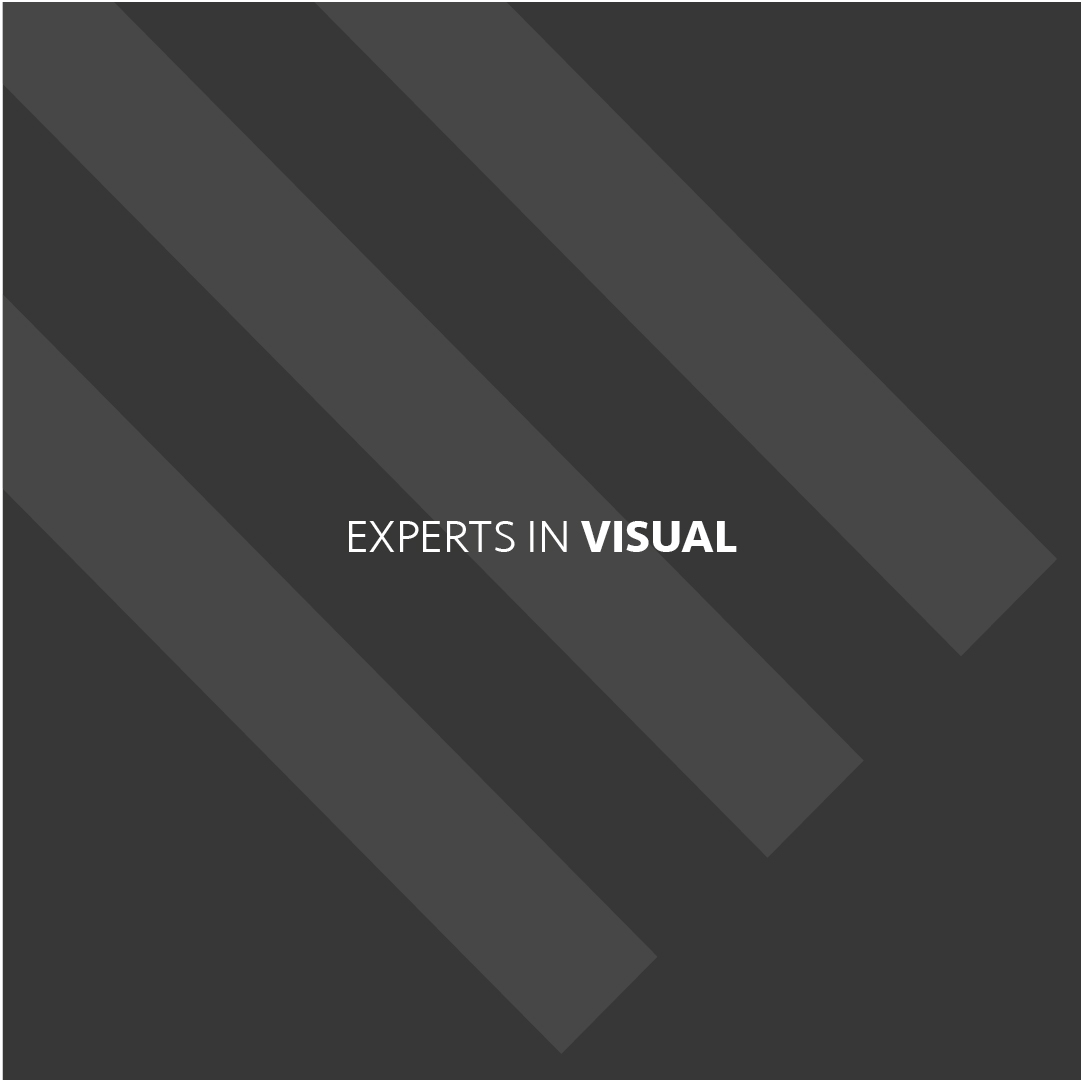 Experts in Visual Proposition