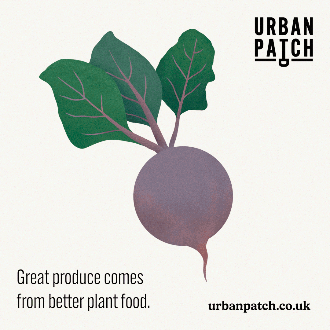 Urban Patch Illustration
