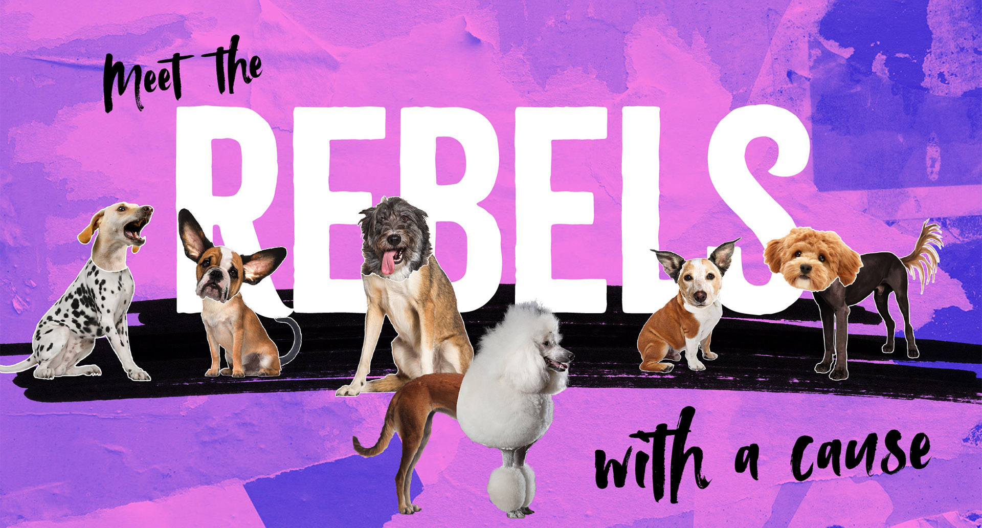 wecare rebels with a cause